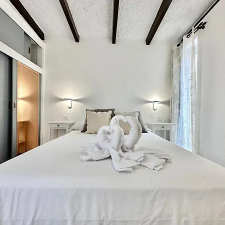 Agave 8 (adults Only) أذيخي