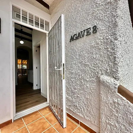 Agave 8 (adults Only) * أذيخي