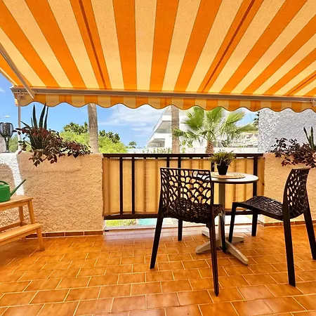 Agave 8 (adults Only) أذيخي