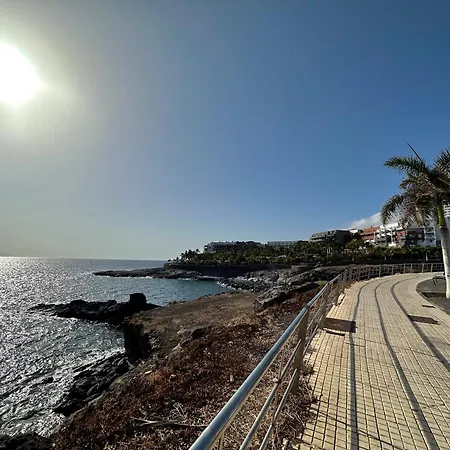 Agave 8 (adults Only) * أذيخي