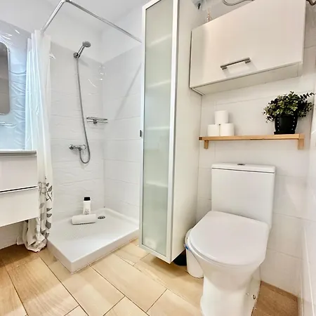 Agave 8 (adults Only) אדחה