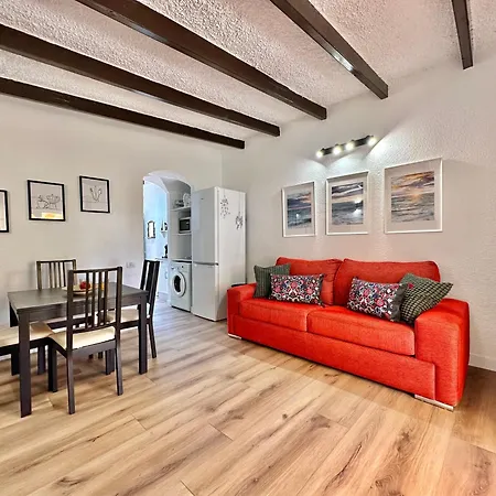 Agave 8 (adults Only) אדחה