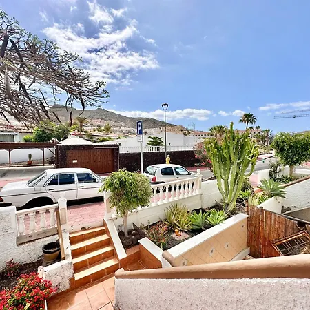 Agave 8 (adults Only)