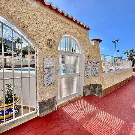 Agave 8 (adults Only) אדחה