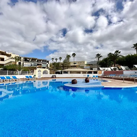 Agave 8 (adults Only) אדחה