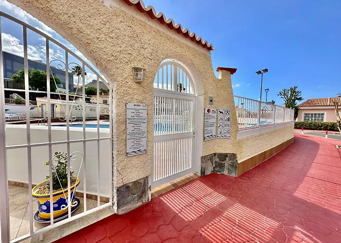 Agave 8 (adults Only) 阿德耶