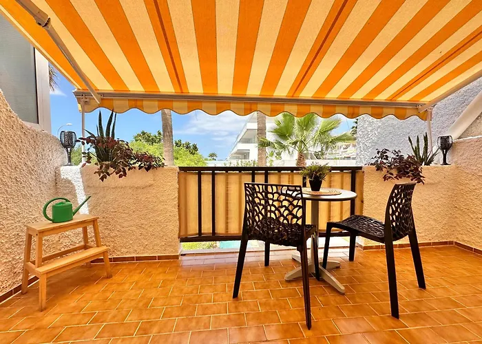 Agave 8 (adults Only) 阿德耶