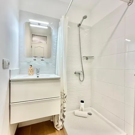 Agave 8 (adults Only)