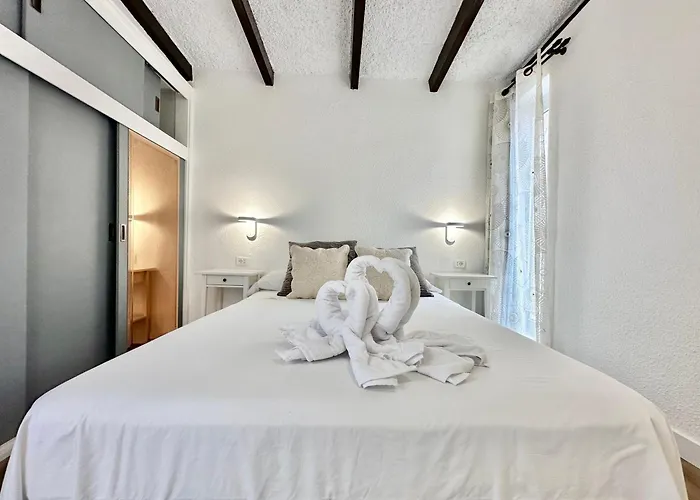 Agave 8 (adults Only) أذيخي