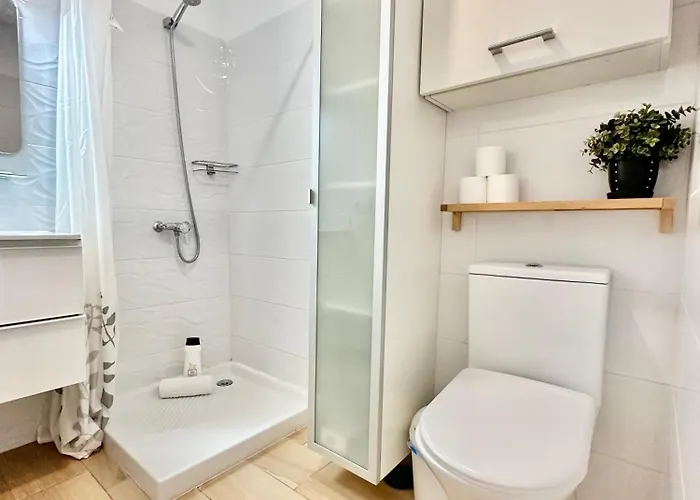 Agave 8 (adults Only) أذيخي