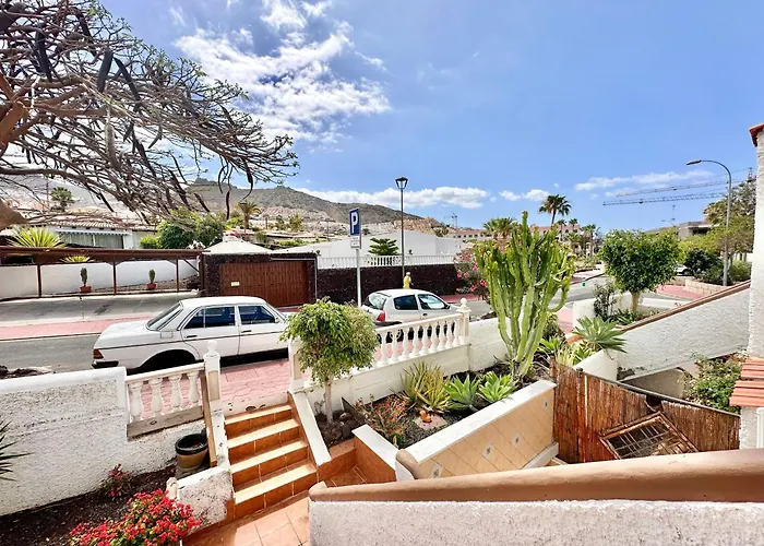 Agave 8 (adults Only)