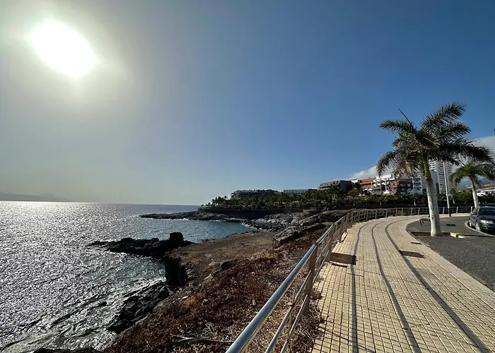 Agave 8 (adults Only) * アデヘ