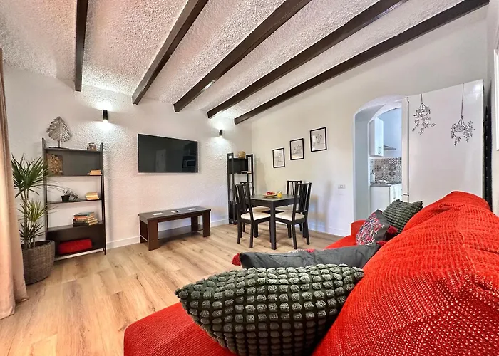 Agave 8 (adults Only)